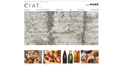 Desktop Screenshot of ciatsa.com